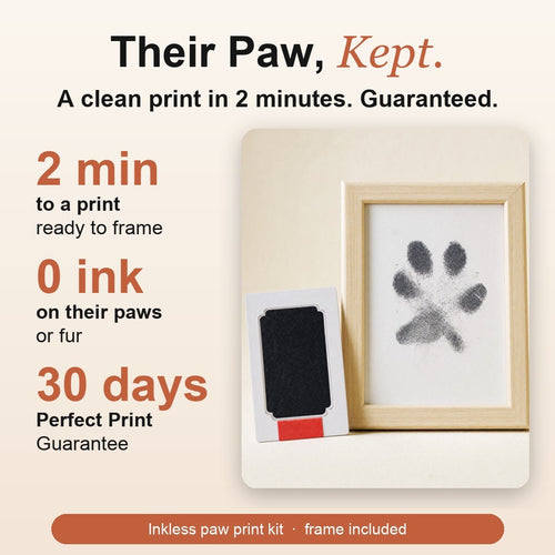 PawKept inkless paw print kit: their paw, kept