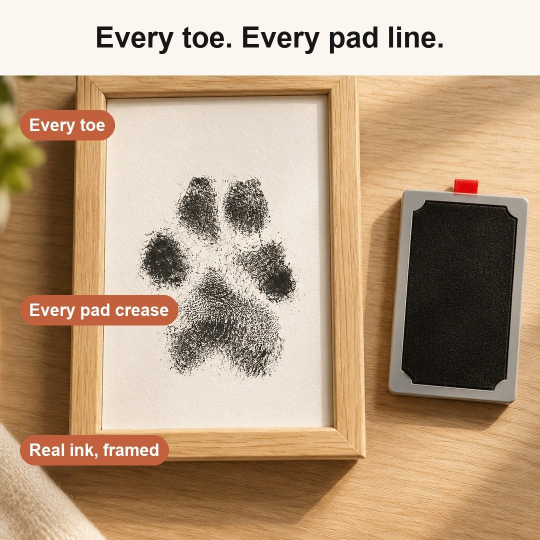 Close-up: every toe and pad line in real ink